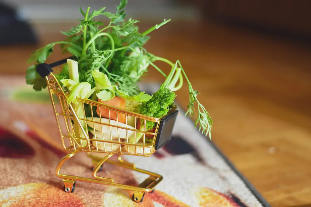 Winziger Einkaufswagen gefüllt mit normalgroßen Kräutern