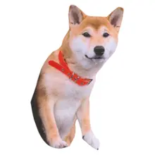 Hund