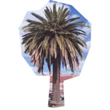 Palme